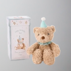 Elegant Baby Aqua Birthday Bear Gift Box