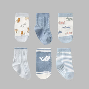 Elegant Baby World Explorer Socks-6 pack